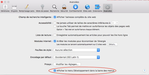 Safari advanced settings